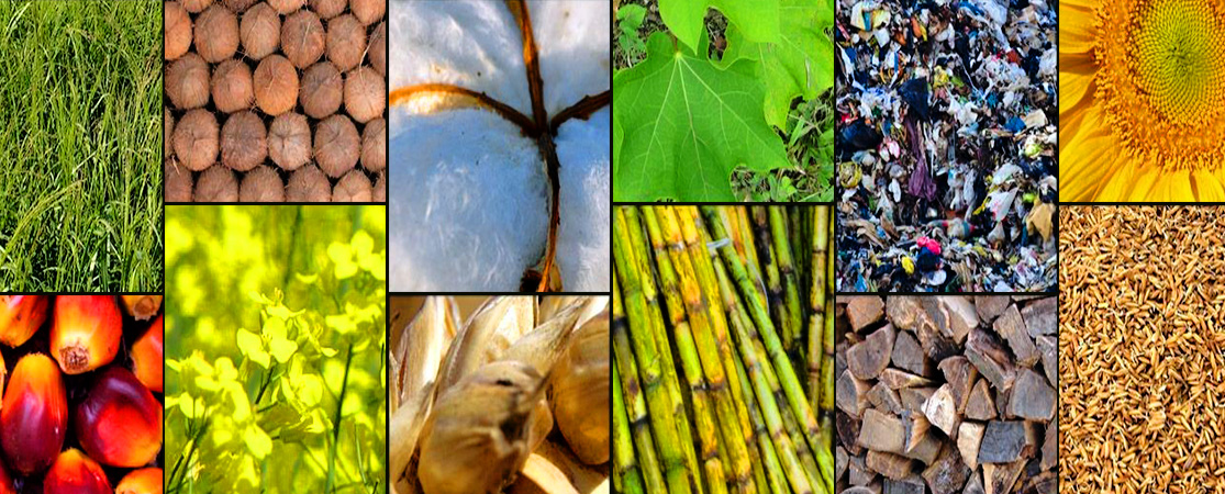 Agriculture